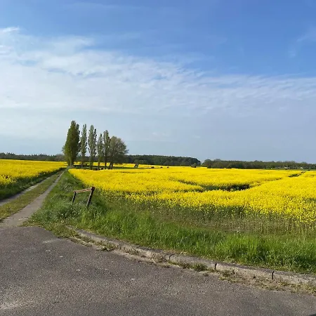 Ostseenest - Sonnige Mit Ostseeblick Heringsdorf (Ostholstein)
